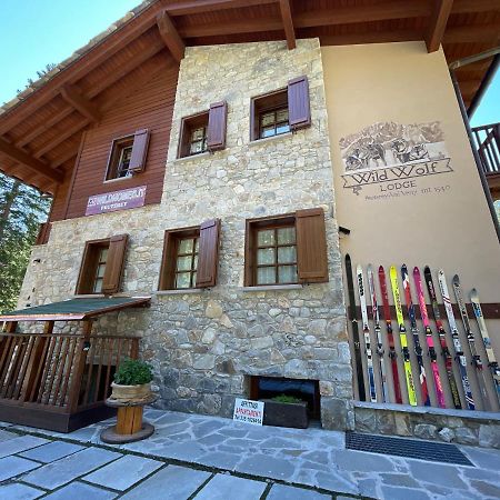 Wildhomes Wild Wolf Lodge Courmayeur Eksteriør bilde