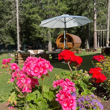 Wildhomes Wild Wolf Lodge Courmayeur Eksteriør bilde