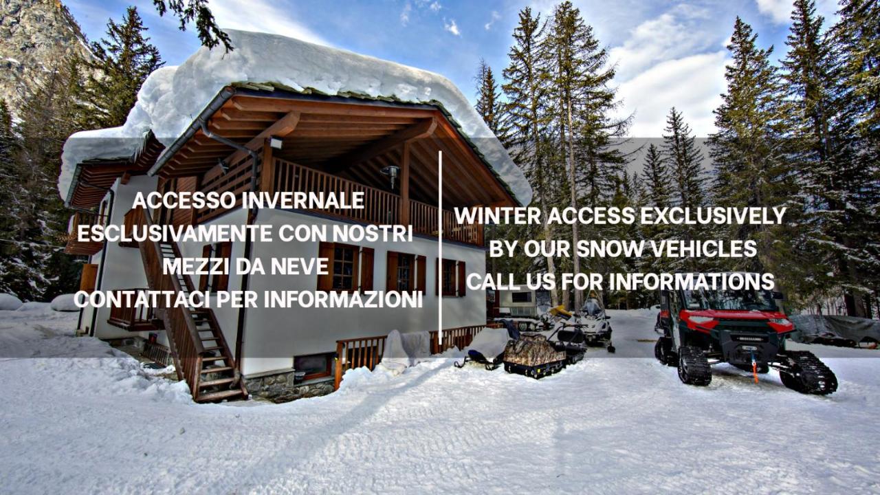 Wildhomes Wild Wolf Lodge Courmayeur Eksteriør bilde