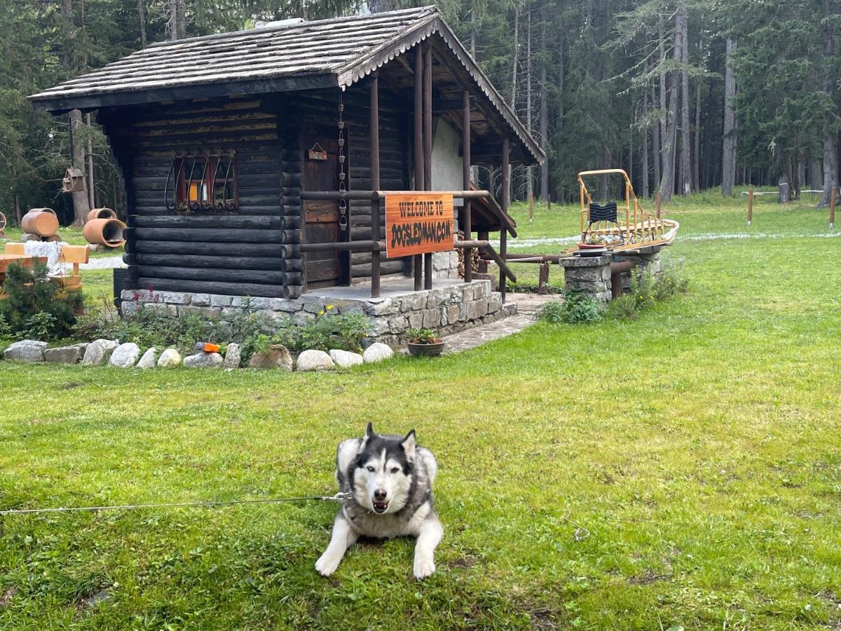 Wildhomes Wild Wolf Lodge Courmayeur Eksteriør bilde