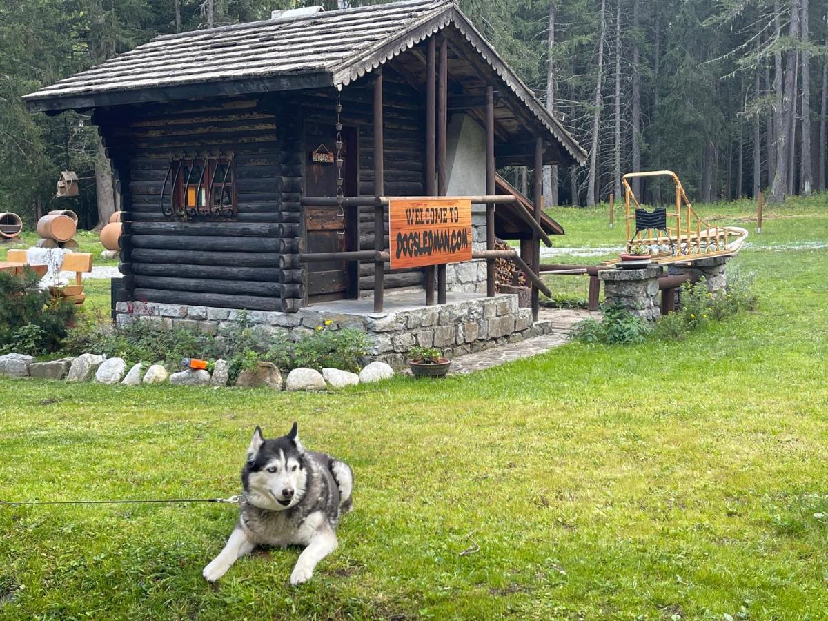 Wildhomes Wild Wolf Lodge Courmayeur Eksteriør bilde
