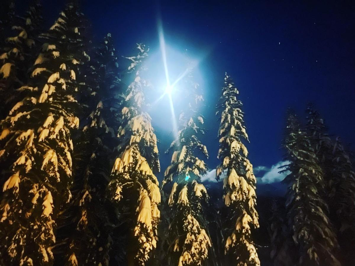 Wildhomes Wild Wolf Lodge Courmayeur Eksteriør bilde