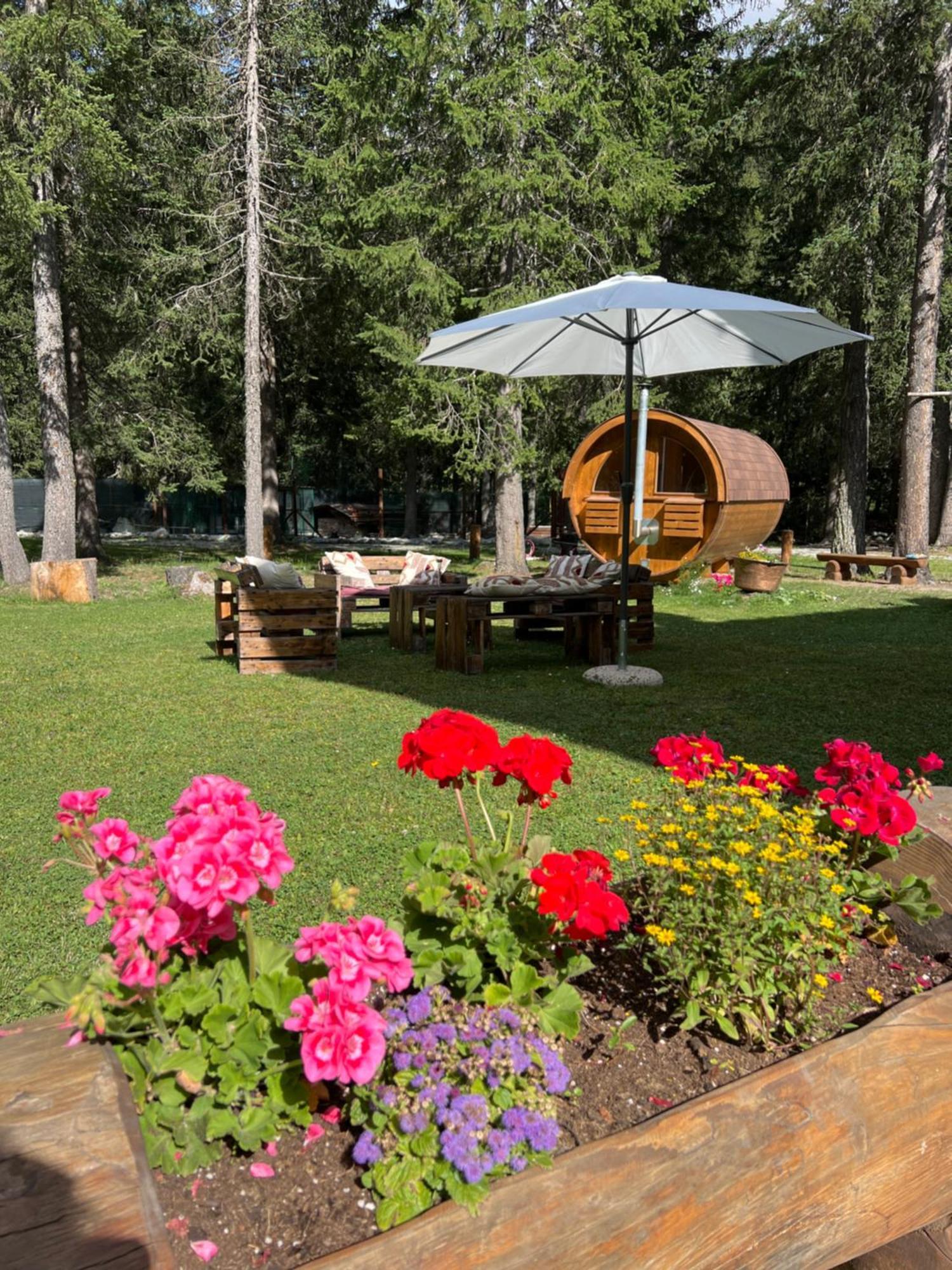 Wildhomes Wild Wolf Lodge Courmayeur Eksteriør bilde